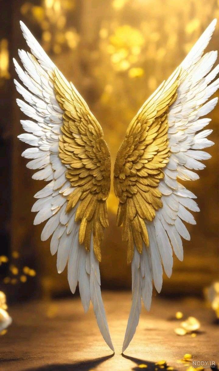 عکس والپیپر فرشته
