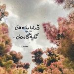 آهنگ دلم چه تنگه هوای گریه داره