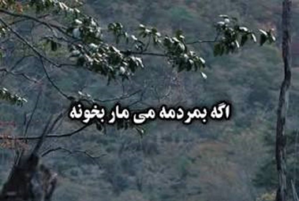 دانلود آهنگ اگه بمردمه می مار بخونه | ﺷﺒﻰ ﺧﻮاﺑﻴﺪه ﺑﻮدم ﻣﺎه درﻣﺪ
