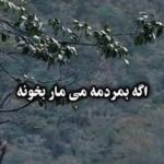آهنگ اگه بمردمه می مار بخونه