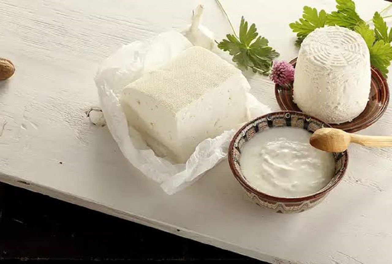 طرز تهیه پنیر خانگی