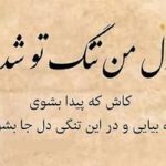 اهنگ دل من تنگ تو شد کاش که پیدا بشوی