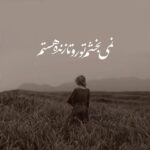 اهنگ برو از پیش من نگو چه کردم
