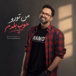 آهنگ من تورو خوب بلدم از علیرضا ولایی