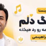 آهنگ دلم جز تو همه رو رد میکنه از میثم ابراهیمی ریمیکس