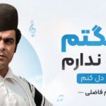 آهنگ دلتنگتم کسیو ندارم که درد دل کنم از قاسم فاضلی