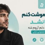 آهنگ گفتم فراموشت کنم اما نشد گفتم که دلم آروم شه ترکی