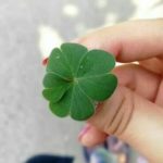 آهنگ کاش به شهر خوب تو