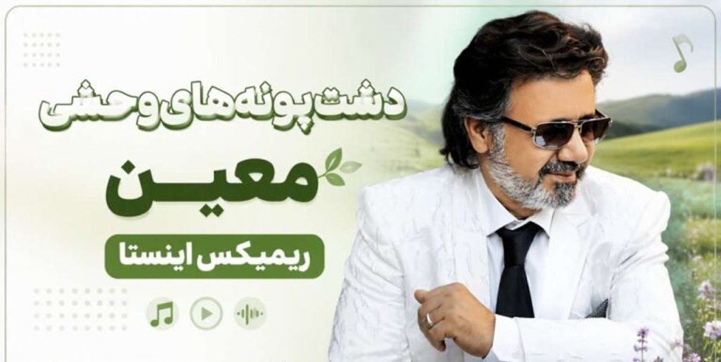 دانلود آهنگ دشت پونه های وحشی معین ریمیکس اینستا | ترند جدید