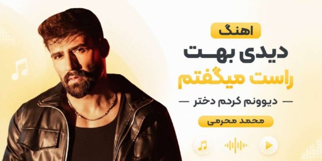دانلود آهنگ دیدی بهت راست میگفتم دیوونم کردی دختر از محمد محرمی + متن