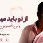 آهنگ از تو باید میگذشتم ولی افسوس نتونستم محمدرضا اعرابی