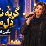 اهنگ گریه نکن دل من فصل خزون میگذره