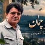 دانلود آهنگ پلوتم از تی ام بکس | متن آهنگ و کیفیت عالی آهنگ سرو چمان من چرا میل چمن نمی کند از محمدرضا شجریان