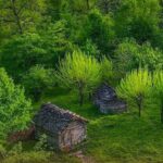 اهنگ گلجیم گل دسن با صدای زن