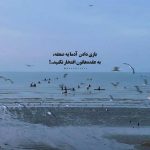 اهنگ تو میری شاید که فردا رنگ بهتری بیاره سیاوش قمیشی