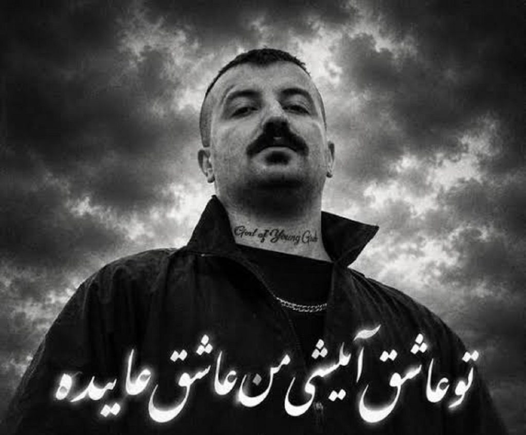 دانلود آهنگ توعاشق آیلیشی من عاشق هایده با صدای پوری | ترند اینستا