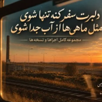 آهنگ دلبرت سفر کند تنها شوی ریمیکس