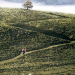 فیلم خانه دوست اینجاست